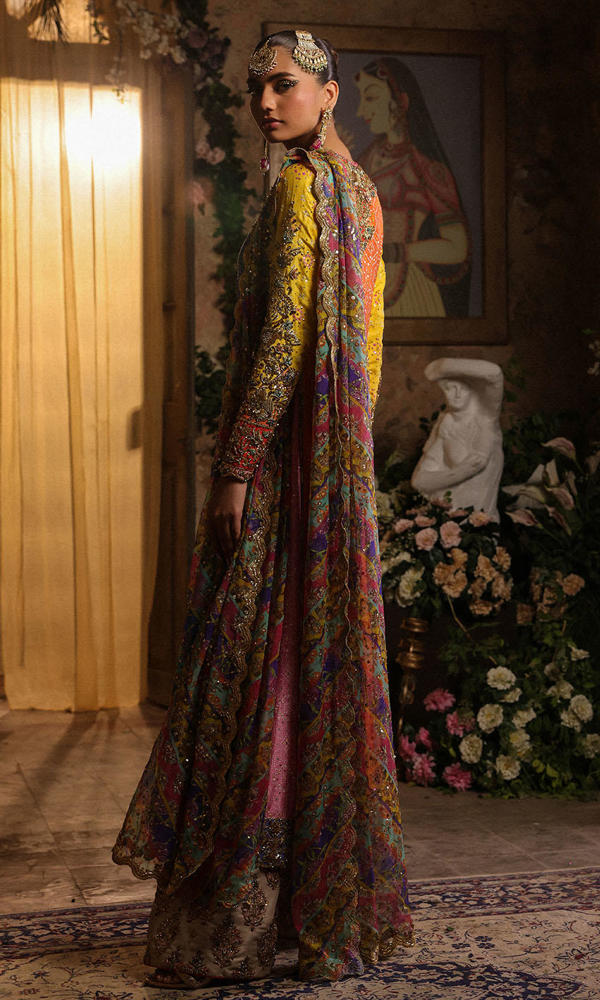 Pakistani Multi-Colour Chunri Embroidered Net Salwar Kameez (3-Piece) - Image 11