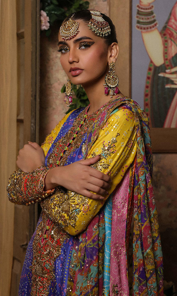 Pakistani Multi-Colour Chunri Embroidered Net Salwar Kameez (3-Piece) - Image 7