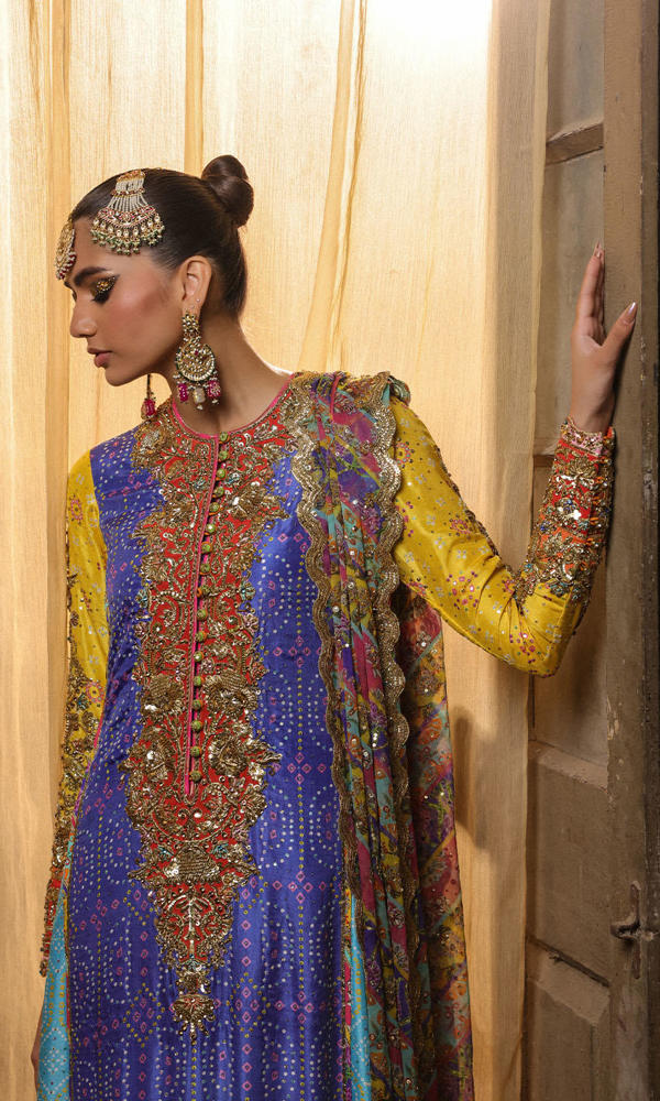 Pakistani Multi-Colour Chunri Embroidered Net Salwar Kameez (3-Piece) - Image 8