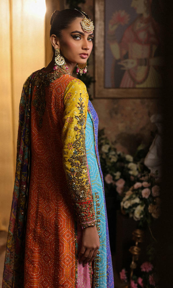 Pakistani Multi-Colour Chunri Embroidered Net Salwar Kameez (3-Piece) - Image 9