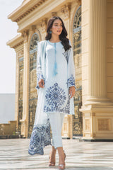 Pakistani Ice Blue Embroidered Net Salwar Kameez (3-Piece) - Image 2
