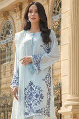 Pakistani Ice Blue Embroidered Net Salwar Kameez (3-Piece) - Image 3
