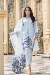 Pakistani Ice Blue Embroidered Net Salwar Kameez (3-Piece) - Image 4