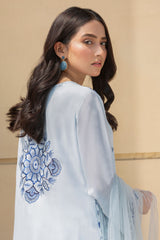 Pakistani Ice Blue Embroidered Net Salwar Kameez (3-Piece) - Image 6