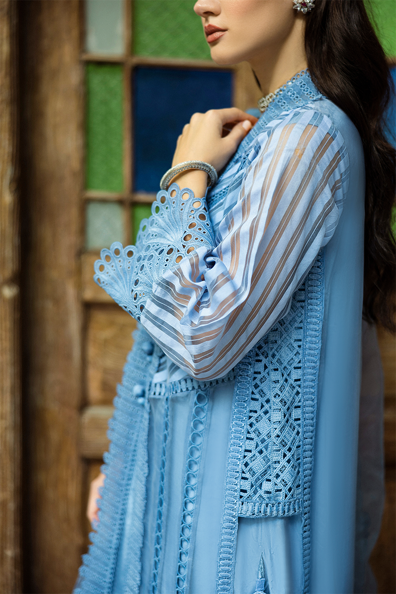 Blue Cutwork Embroidered Organza Salwar Kameez (3-Piece) - Image 11