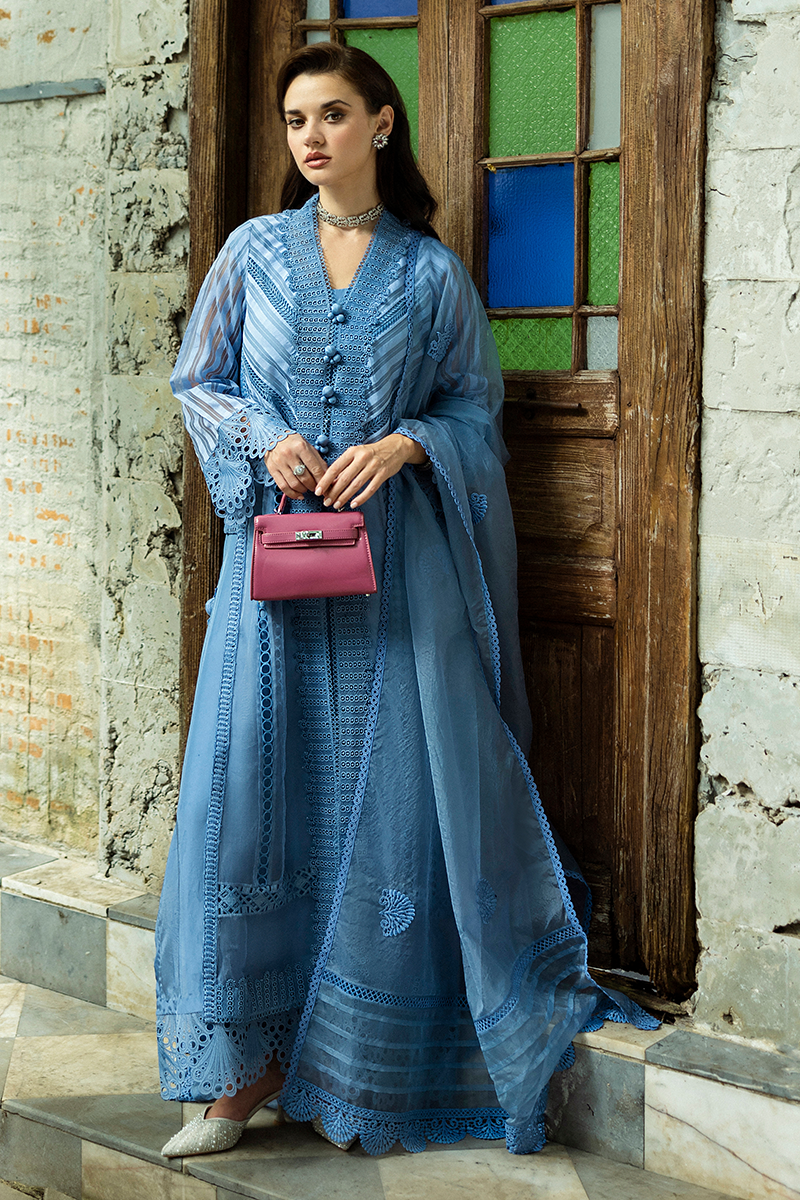 Blue Cutwork Embroidered Organza Salwar Kameez (3-Piece) - Image 3