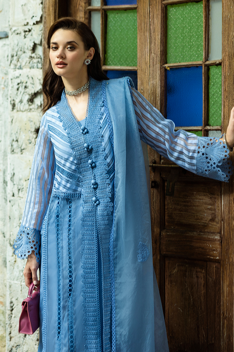 Blue Cutwork Embroidered Organza Salwar Kameez (3-Piece) - Image 4