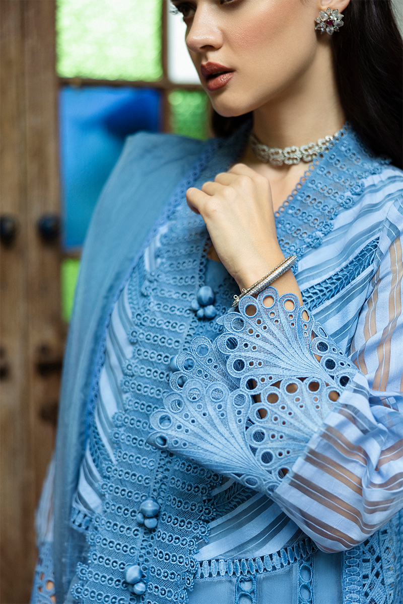 Blue Cutwork Embroidered Organza Salwar Kameez (3-Piece) - Image 9