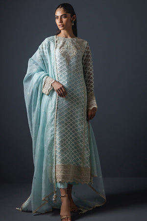 Pakistani Sky Blue Embroidered Self-Organza Salwar Kameez (3-Piece) - Image 1