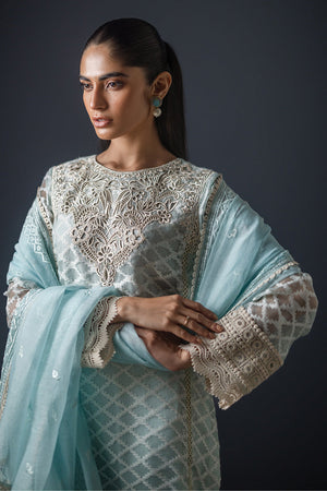 Pakistani Sky Blue Embroidered Self-Organza Salwar Kameez (3-Piece) - Image 4