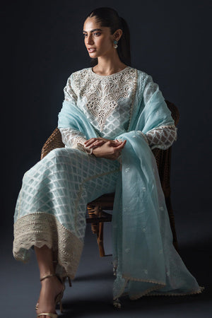 Pakistani Sky Blue Embroidered Self-Organza Salwar Kameez (3-Piece) - Image 5