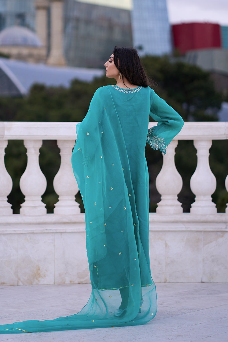 Pakistani Aqua Blue Embroidered Organza & Rawsilk Salwar Kameez (3-Piece) - Image 13