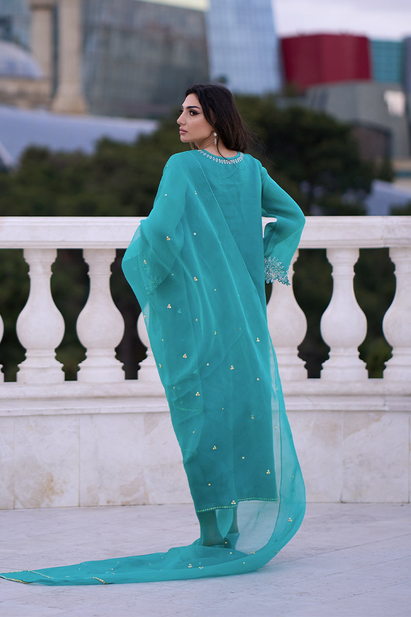 Pakistani Aqua Blue Embroidered Organza & Rawsilk Salwar Kameez (3-Piece) - Image 14