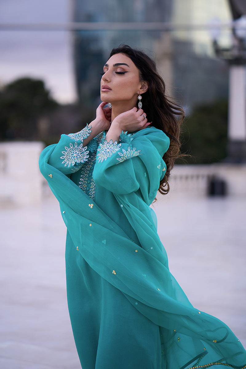 Pakistani Aqua Blue Embroidered Organza & Rawsilk Salwar Kameez (3-Piece) - Image 15
