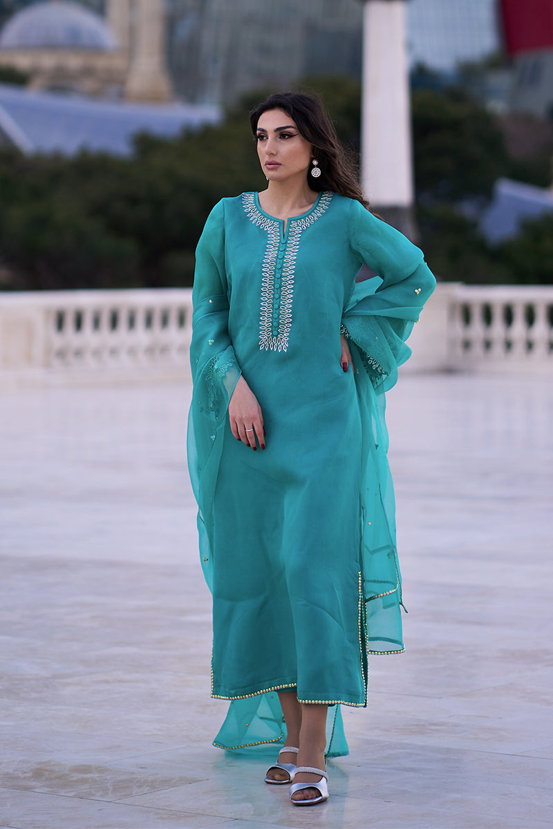 Pakistani Aqua Blue Embroidered Organza & Rawsilk Salwar Kameez (3-Piece) - Image 6