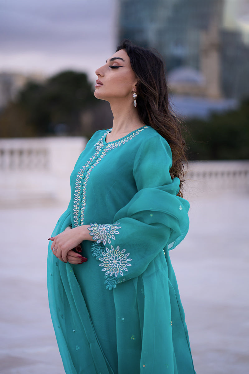 Pakistani Aqua Blue Embroidered Organza & Rawsilk Salwar Kameez (3-Piece) - Image 7