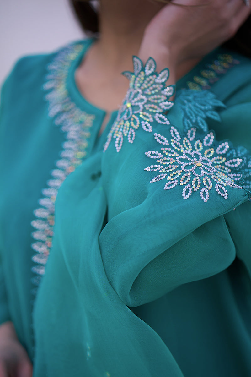 Pakistani Aqua Blue Embroidered Organza & Rawsilk Salwar Kameez (3-Piece) - Image 8