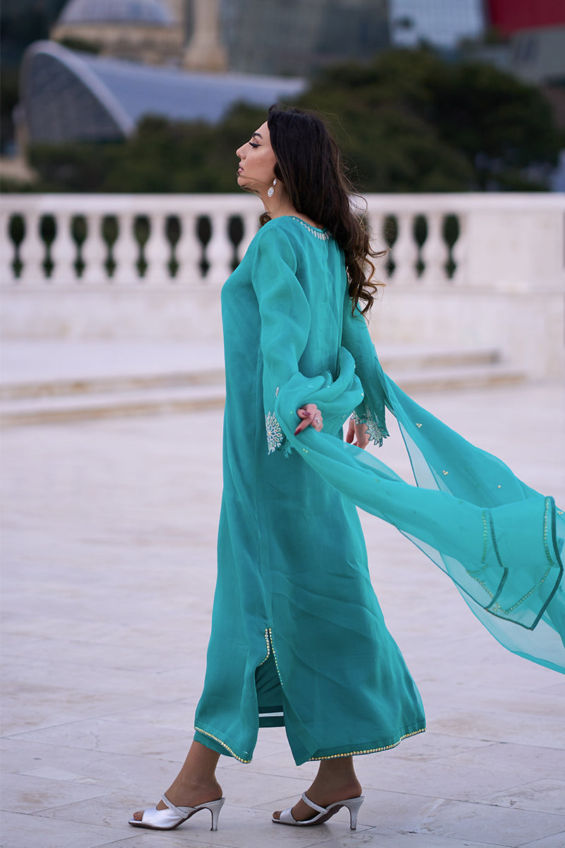 Pakistani Aqua Blue Embroidered Organza & Rawsilk Salwar Kameez (3-Piece) - Image 9