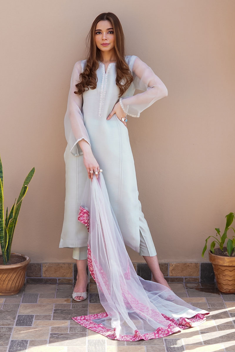 Pakistani Sky Blue Hand Embroidered Organza Salwar Kameez (3-Piece) - Image 1