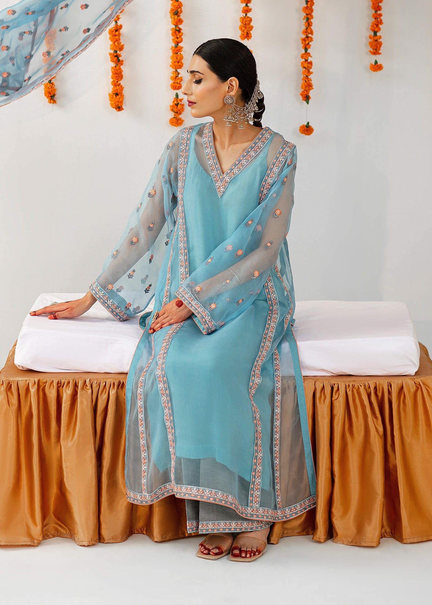 Blue Embroidered Organza Salwar Kameez (3-Piece) - Image 5