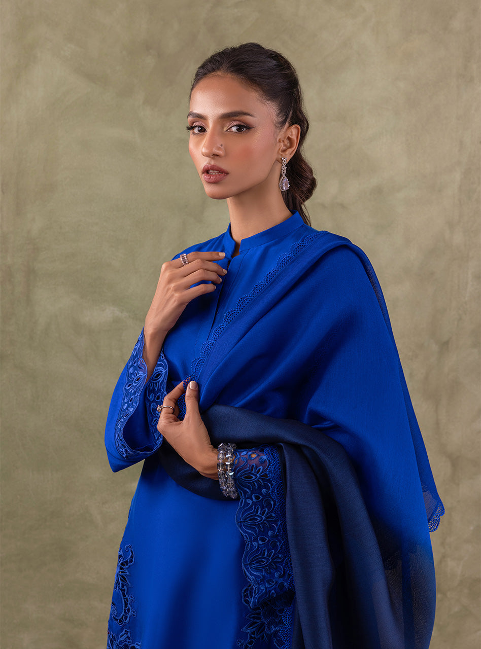 Pakistani Royal Blue Embroidered Pure Rawsilk Salwar Kameez (3-Piece) - Image 8