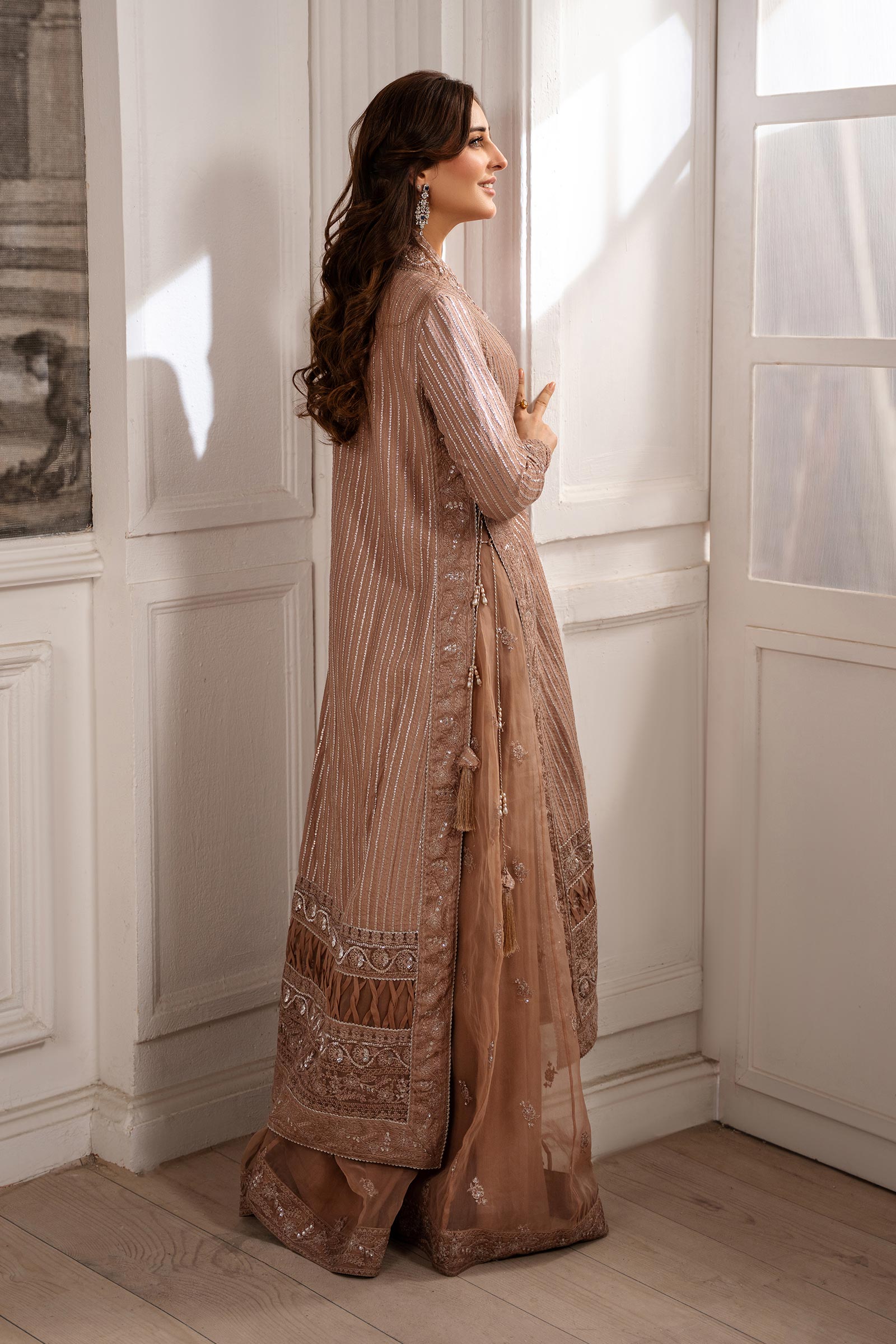 Brown Embroidered Raw Silk & Organza Gown (3-Piece) - Image 6