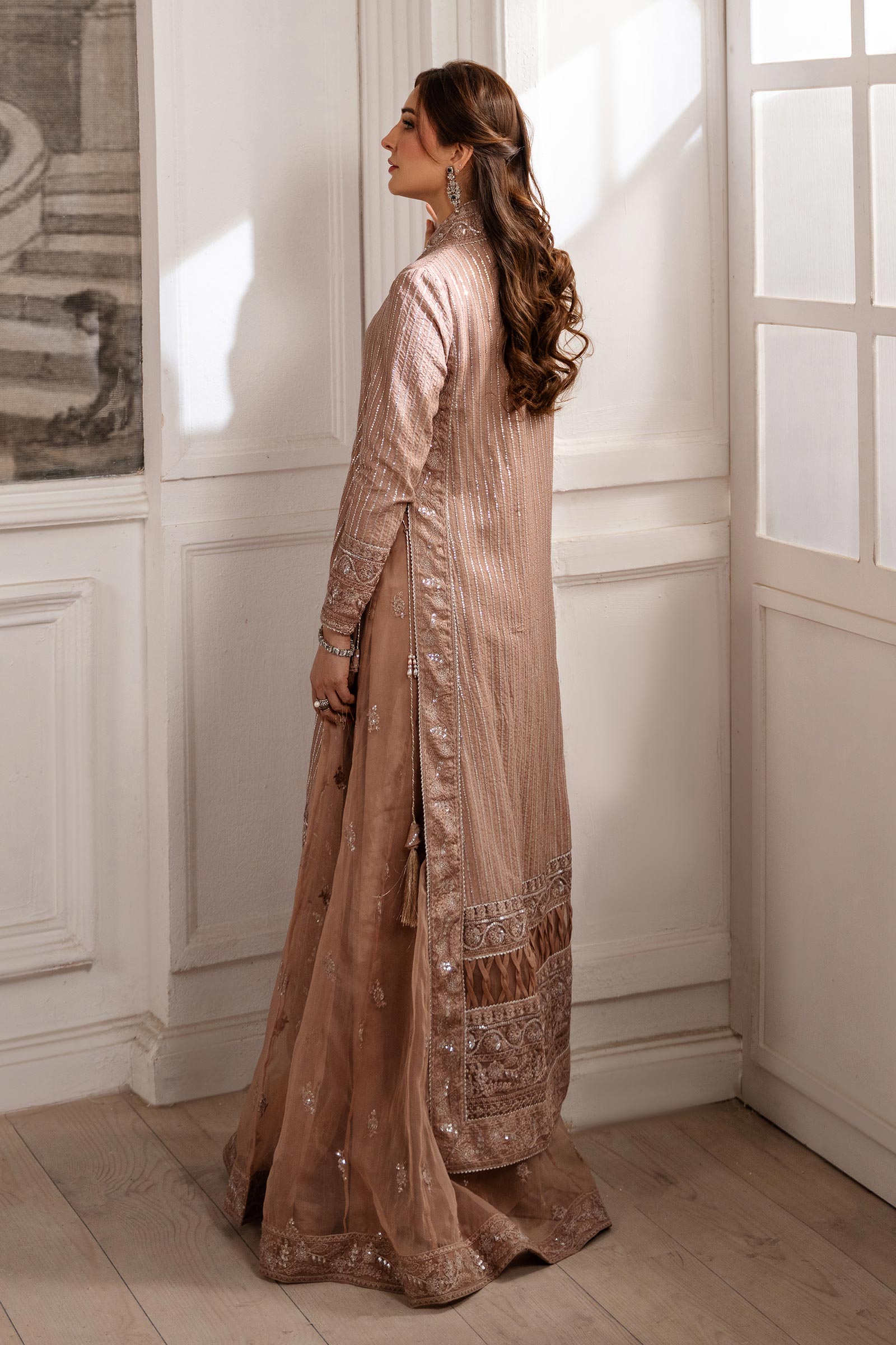 Brown Embroidered Raw Silk & Organza Gown (3-Piece) - Image 7