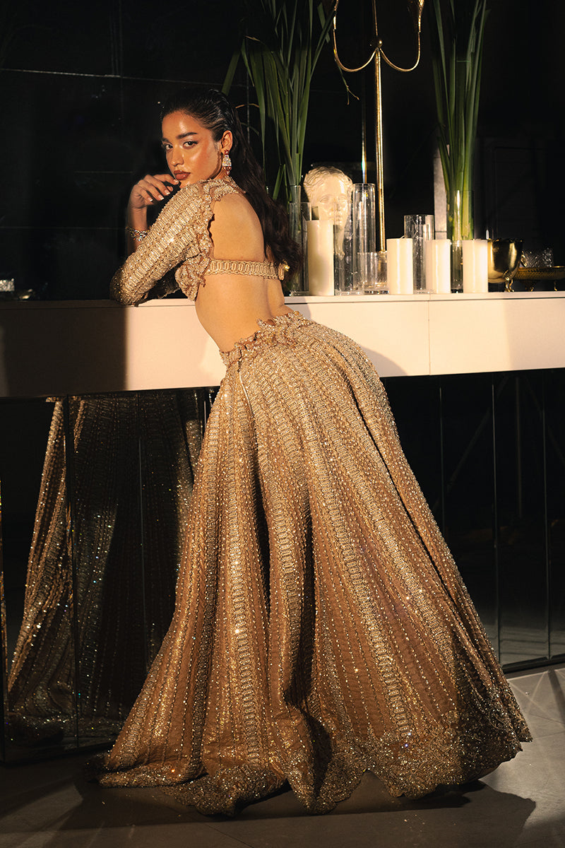 Mocha Embellished Net Organza Lehenga Choli (2-Piece) - Image 3