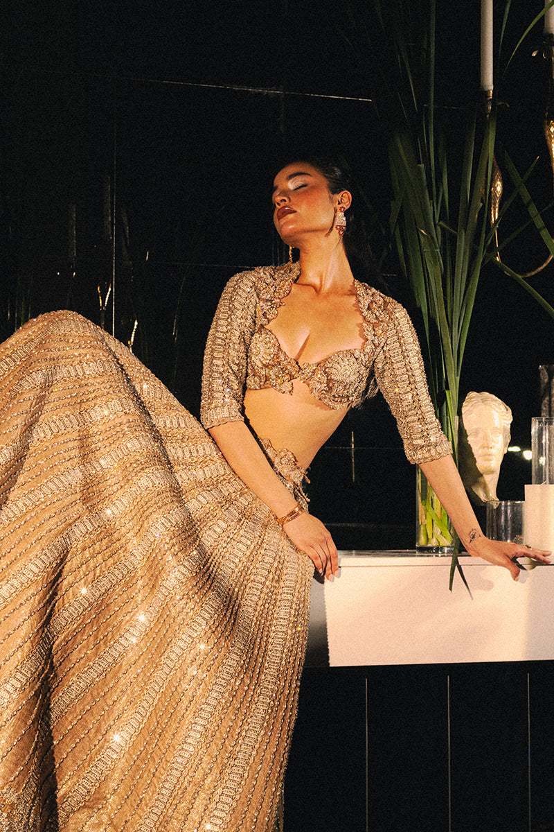 Mocha Embellished Net Organza Lehenga Choli (2-Piece) - Image 4