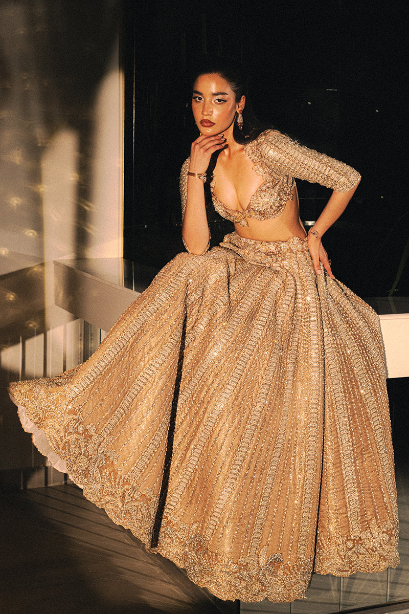 Mocha Embellished Net Organza Lehenga Choli (2-Piece) - Image 5