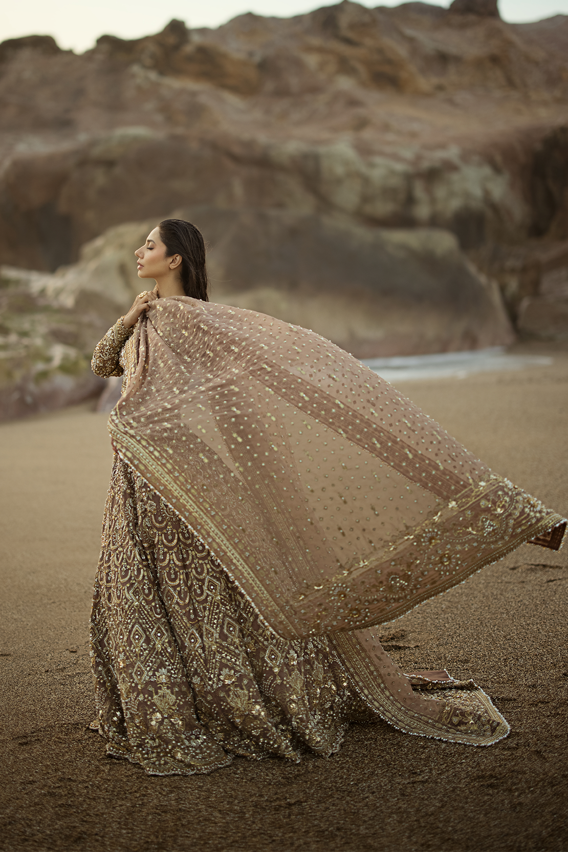 Brown Embroidered Net Lehenga Choli (3-Piece) - Image 4