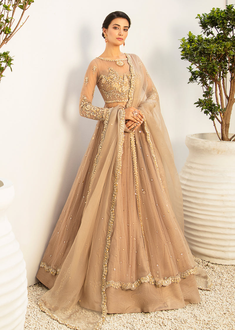 Pakistani Coffee Crystal & Pearl Net Silk Pishwas (3-Piece) - Image 1