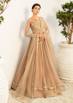 Pakistani Coffee Crystal & Pearl Net Silk Pishwas (3-Piece) - Image 2