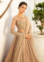 Pakistani Coffee Crystal & Pearl Net Silk Pishwas (3-Piece) - Image 3