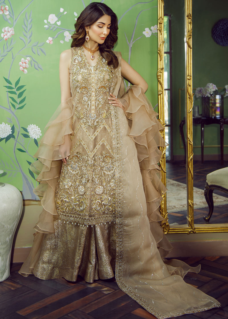 Pakistani Coffee Embroidered Net Brocade Salwar Kameez (3-Piece) - Image 1