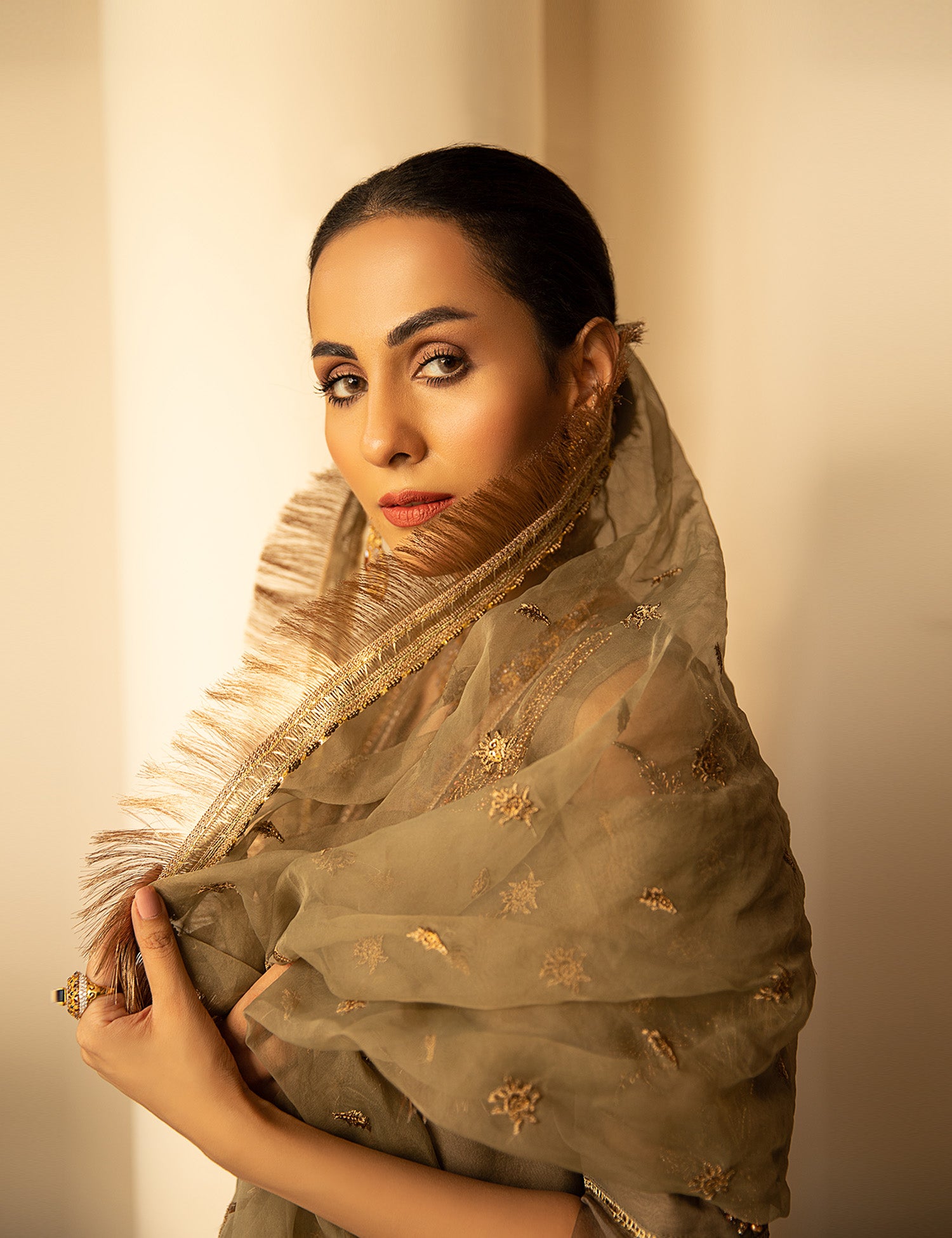 Pakistani Brown Embellished Organza 3-Piece Suit - Image 6