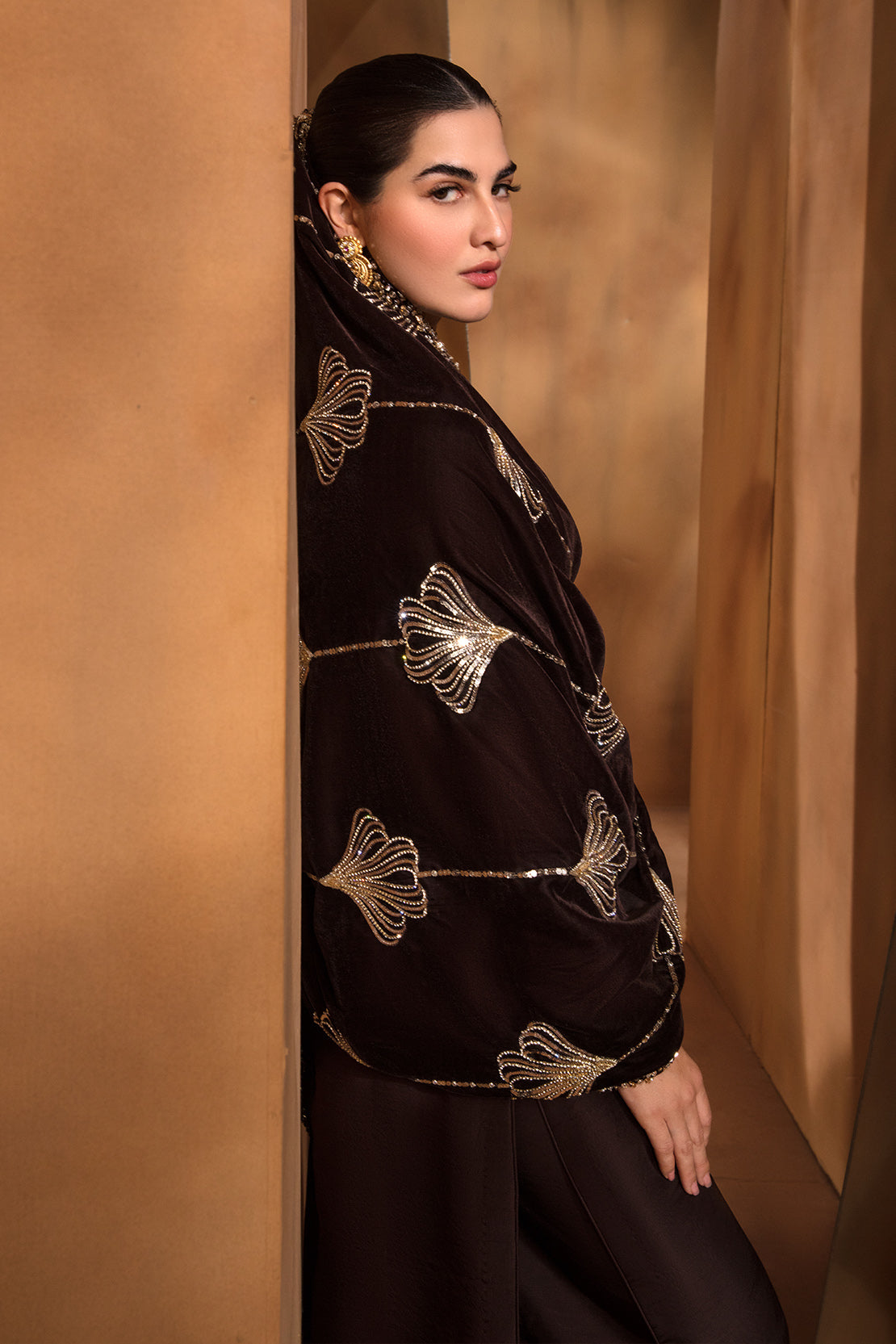 Pakistani Deep Brown Embellished Raw Silk Salwar Kameez (3-Piece) - Image 7