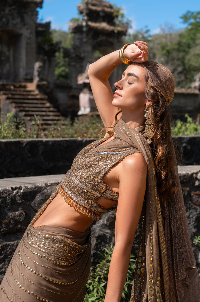 Walnut Embellished Chiffon Saree with Lama Blouse (2-Piece) - Image 3