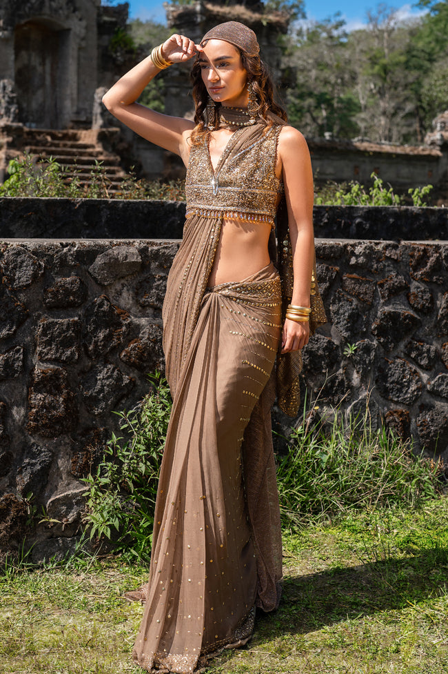 Walnut Embellished Chiffon Saree with Lama Blouse (2-Piece) - Image 5