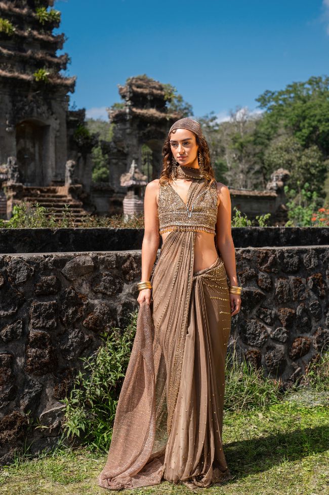 Walnut Embellished Chiffon Saree with Lama Blouse (2-Piece) - Image 6