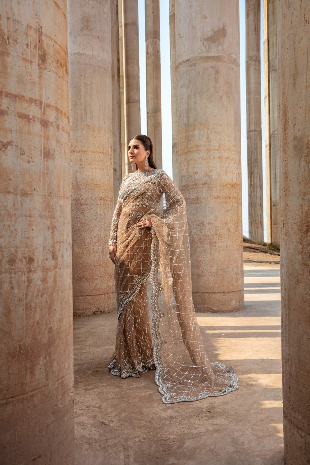 Indian Brown Embroidered Net Saree (Saree with Blouse) - Image 1