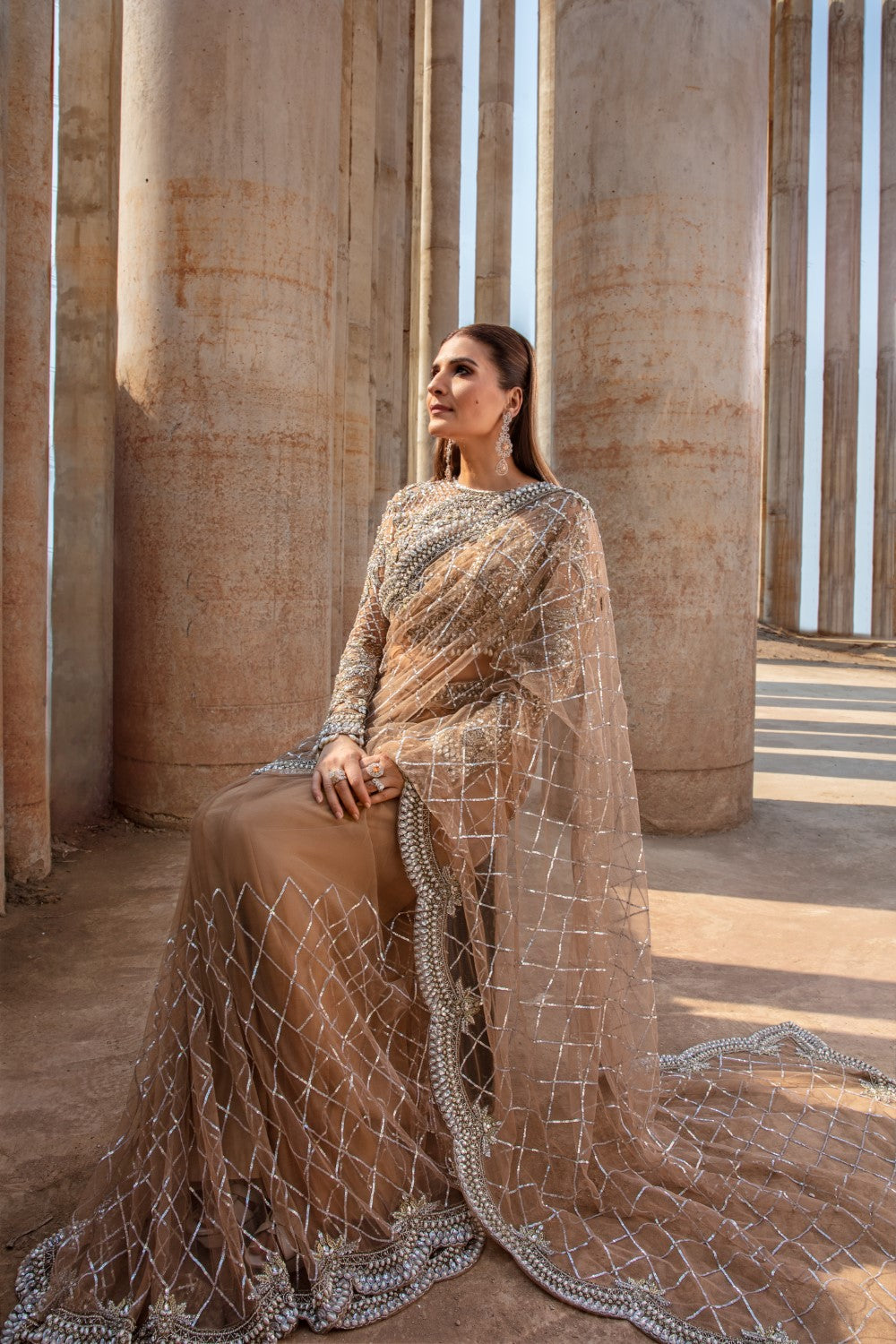 Indian Brown Embroidered Net Saree (Saree with Blouse) - Image 15