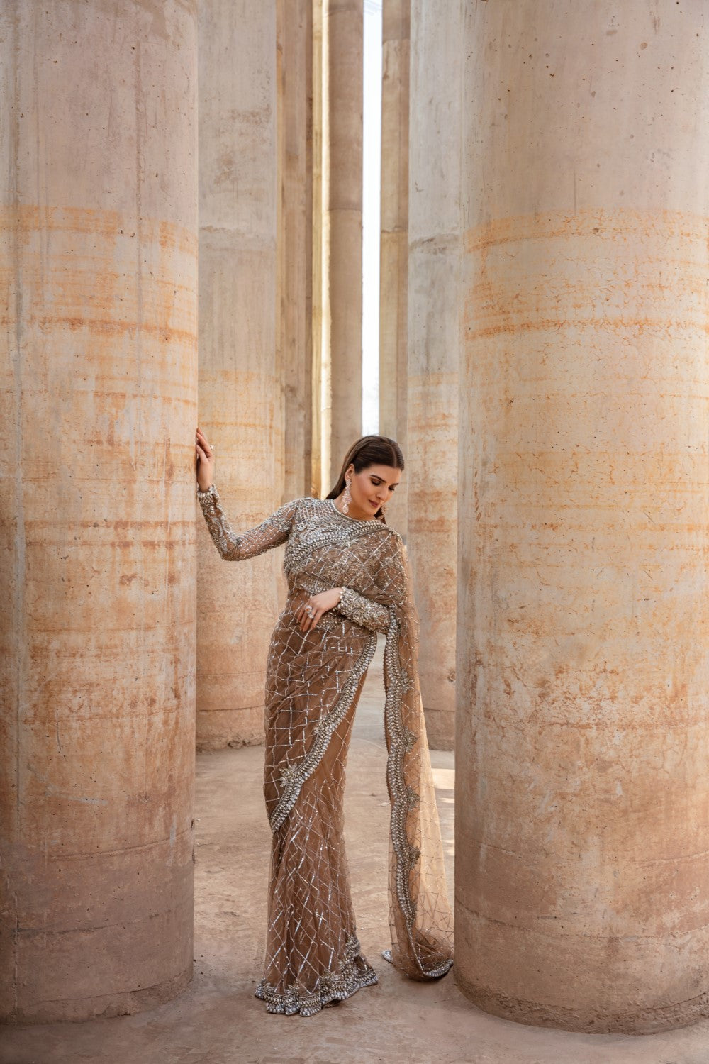 Indian Brown Embroidered Net Saree (Saree with Blouse) - Image 7