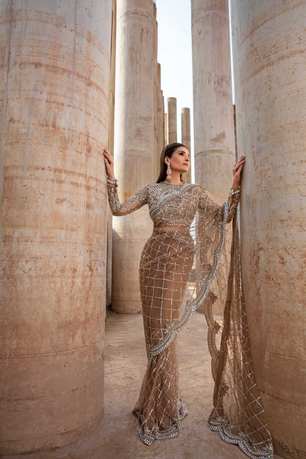 Indian Brown Embroidered Net Saree (Saree with Blouse) - Image 8