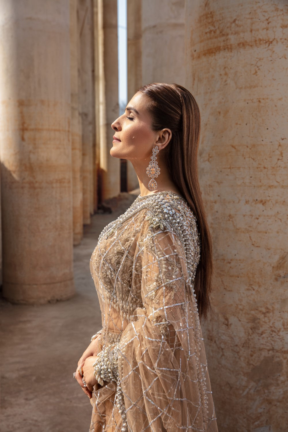 Indian Brown Embroidered Net Saree (Saree with Blouse) - Image 9