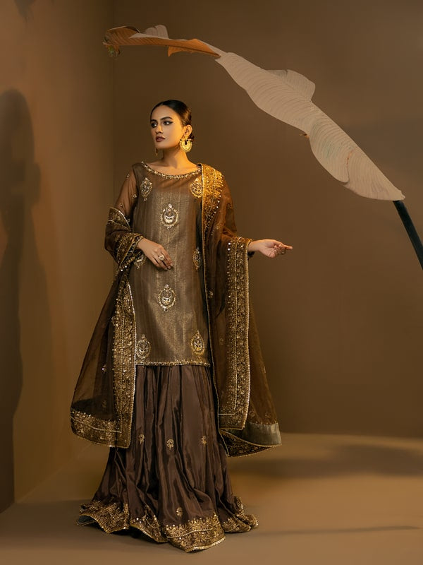 Deep Brown Embroidered Organza Sharara Dress (3-Piece) - Image 1