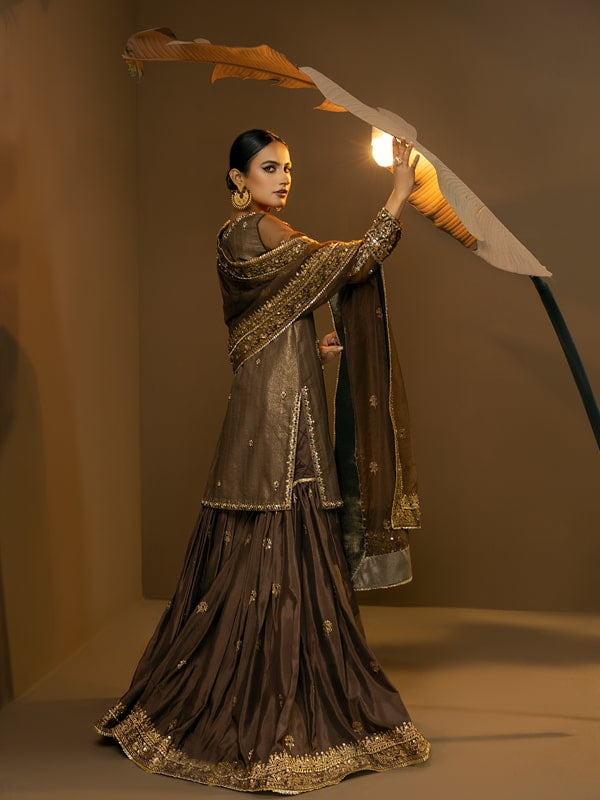 Deep Brown Embroidered Organza Sharara Dress (3-Piece) - Image 2