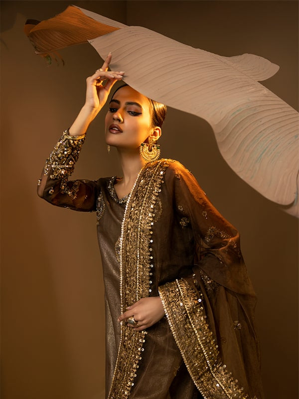 Deep Brown Embroidered Organza Sharara Dress (3-Piece) - Image 3