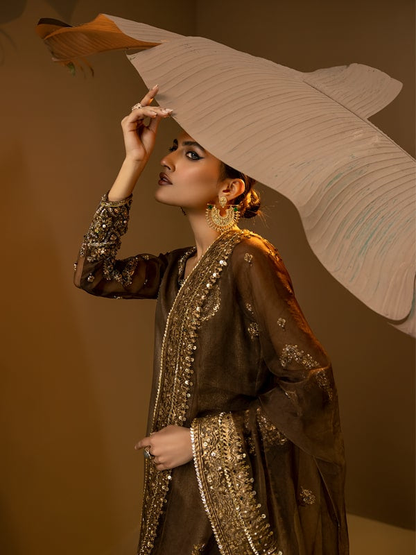Deep Brown Embroidered Organza Sharara Dress (3-Piece) - Image 4