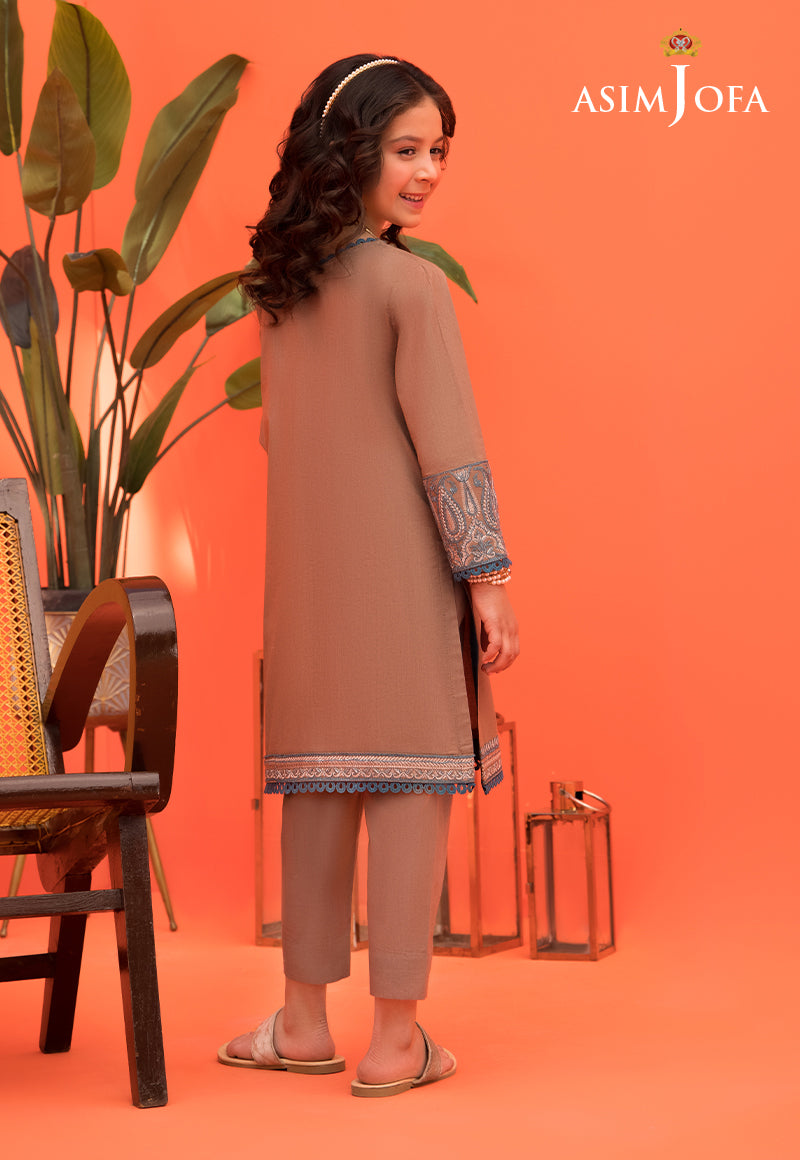 Pakistani Brown Embroidered Cambric Salwar Kameez (2-Piece) - Image 3